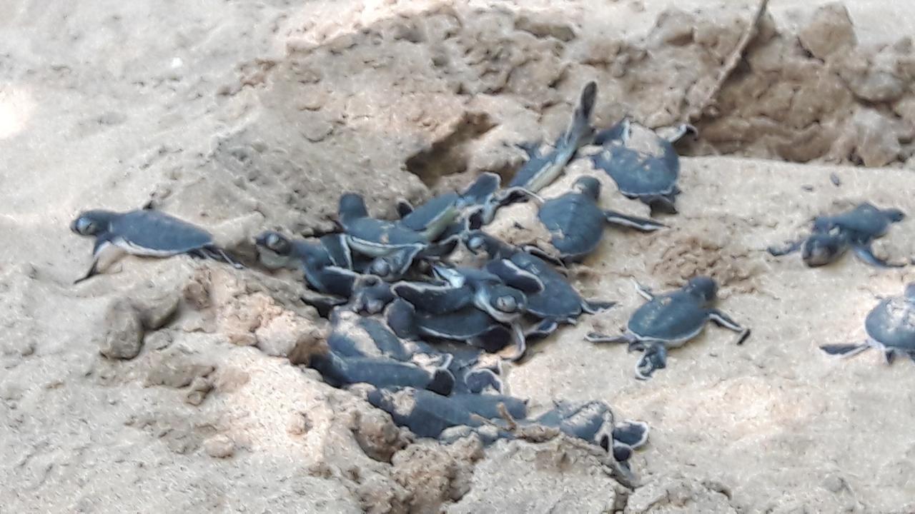 Leatherback Beach Villa Ахунгала Екстериор снимка