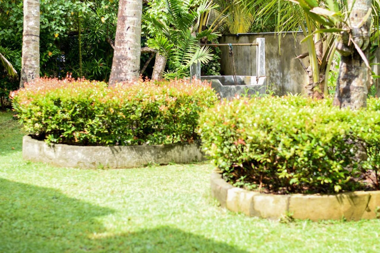 Leatherback Beach Villa Ахунгала Екстериор снимка